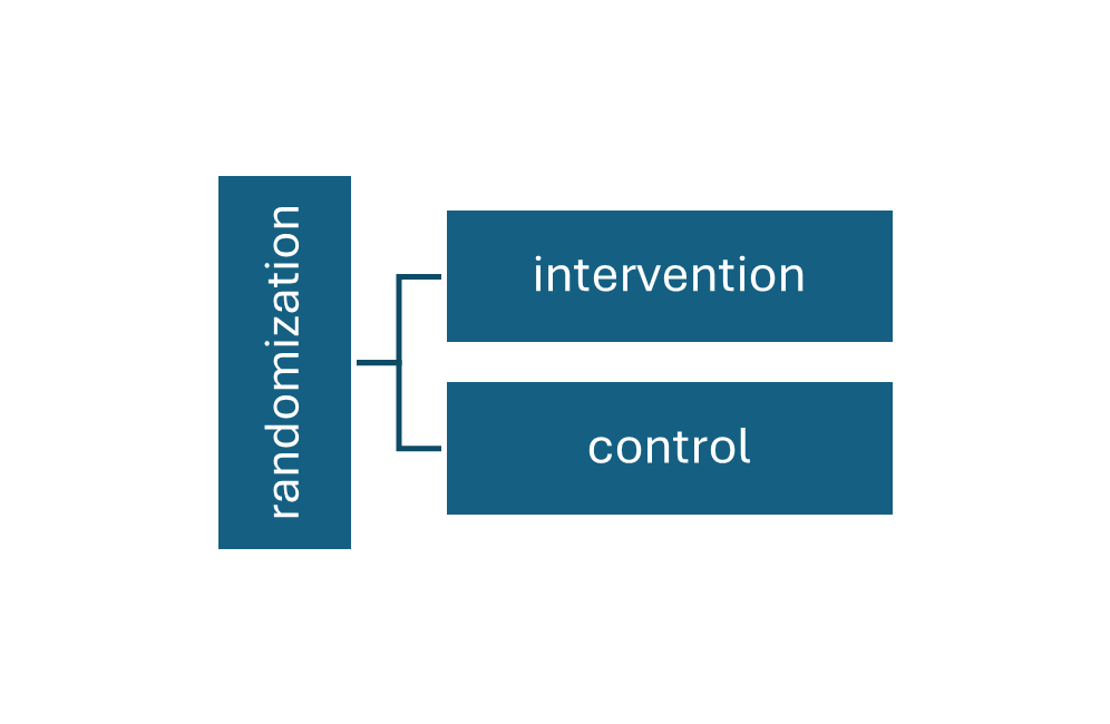 Ramdnomization - Intervention - Control